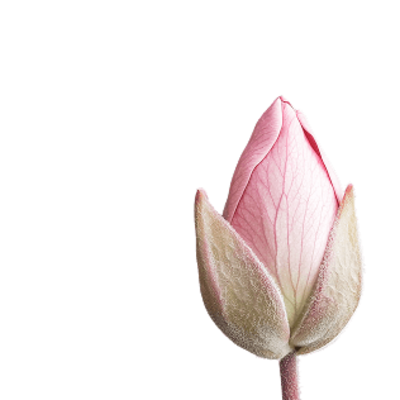 Онкогинеколог